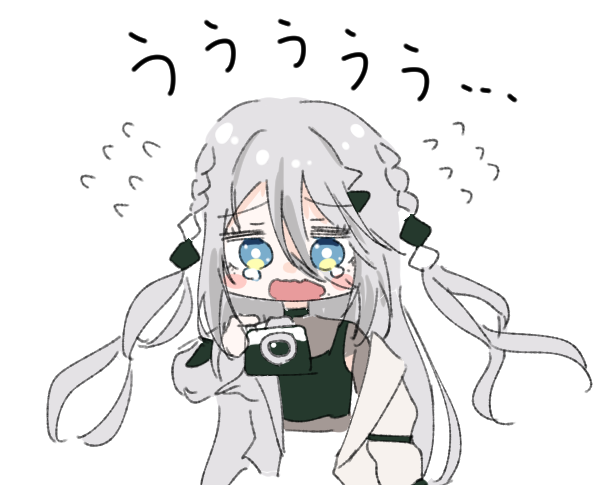 カメラソフィア